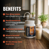 Whey Protein Isolate (Vanilla)